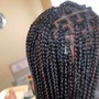 Havana Twists