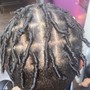 Starter Locs