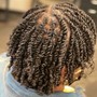 Starter Locs