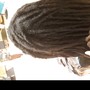 Starter Locs