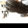 Natural Twists