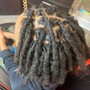 Starter Locs