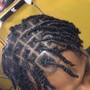 Two Strand Twist(small)