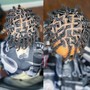 Loc retwist (mid back)