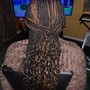 Tree Braids