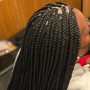 Medium Plaits TOUCHUP