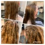 Natural Starter Dreadlocks