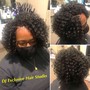 Individual Afro Kinky Twists