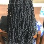 Havana Twists