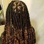 Small (Back Length) Box Braids