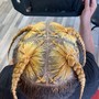 2 Feed In Braids