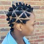 Tree-Braids or Twist