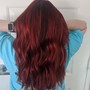 Full Highlights + Toner