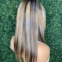 Highlights (Up to 14")