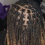 Poetic Justice Braids