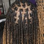 Extra small Knotless  Goddess Braids (mid back)