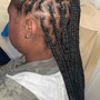 Small Senegalese Twist mid back