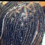 Poetic Justice Braids