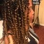 Passion Twists Waist Length