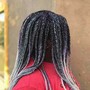 Small Fulani Braids