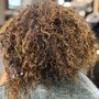 Single Process Root Touch Up