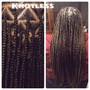 Small Knotless Box Braids