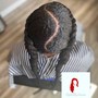 2 Feed-in Braids (Cornrows)