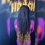 REGULAR BOX BRAIDS (Med)