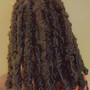 Starter Dreadlocks