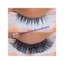 Hybrid Eyelash Individuals