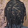 Senegalese Twist - Large