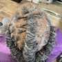 Root Touch Up