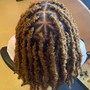 short passion twists