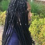 Jumbo knotless Box Braids