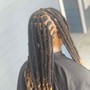 Loc Extensions (Hair included)