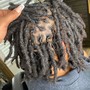 Starter Locs