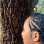 Plaits/Braids with natural hair