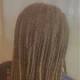 Senegalese Twist