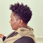 Big Chop w/ Shampoo and Style