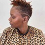 Big Chop w/ Shampoo and Style