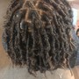 Starter dreadlocks