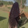 Medium Senegalese Twist