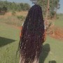 Butterfly Or Softs Locs Waist Length