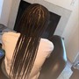 Small Senegalese Twist mid back