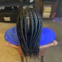 Two Strand Twist (natural hair)