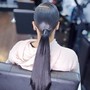 Sleek Ponytail