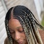 Senegalese twist (medium waist length)