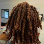 Loc/dread Detox Only