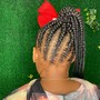 Braided ponytail