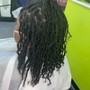 Starter Locs